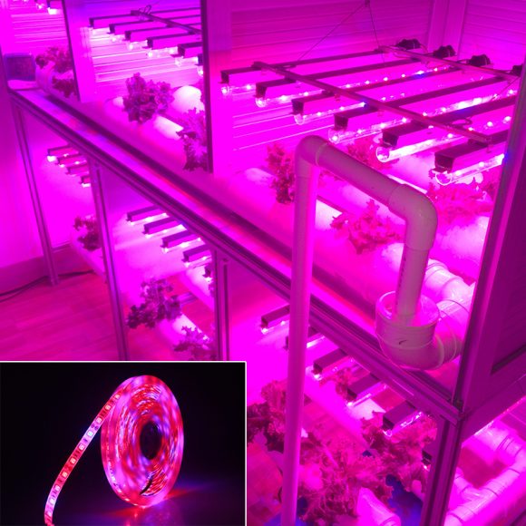 5050Led plant growth soft light bar 5M - Image 3