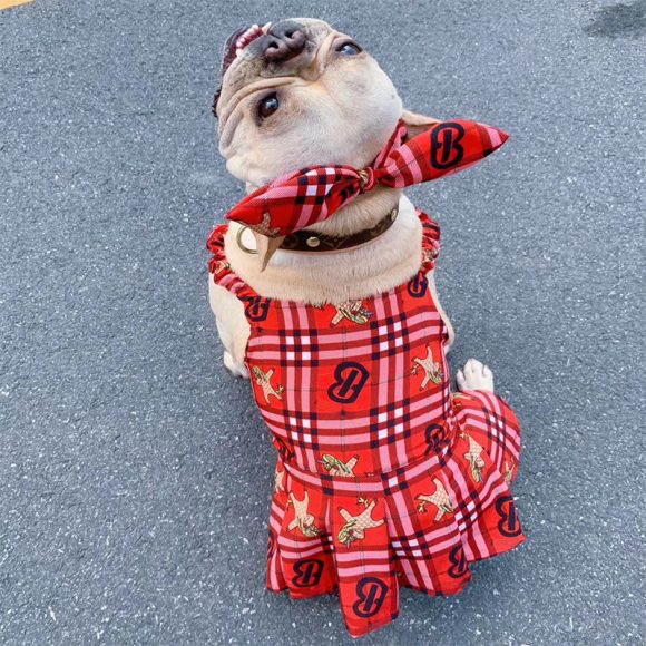 Pet clothing suspender skirt suit - Image 5