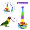 Bird toy parrot toy - Image 2