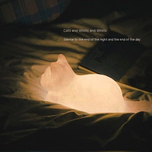 Wife Girl Cat Vinyl Small Night Lamp Christmas - Image 7