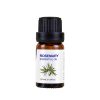 Rosemary essential oil 10ml - Image 8