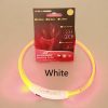 Pet Flashing Collar USB Rechargeable Glowing Necklace Safety Collar Light Up Collars For Night Walking Electric Dog Collar Neon - Image 5