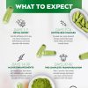 Pure Moringa Powder Capsules Of Nutrient-Rich Moringa - Natural Antioxidant Superfood - Promotes Energy, Skin Health, Gut Well-Being - With Essential Vitamins & Amino Acids 60 Count - Image 3