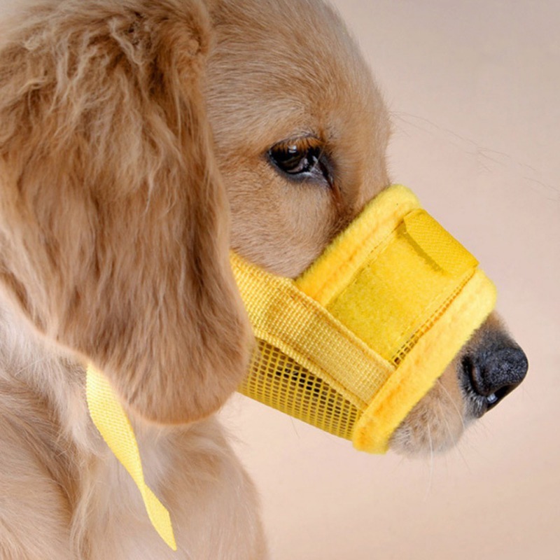 Barking Control Euipments