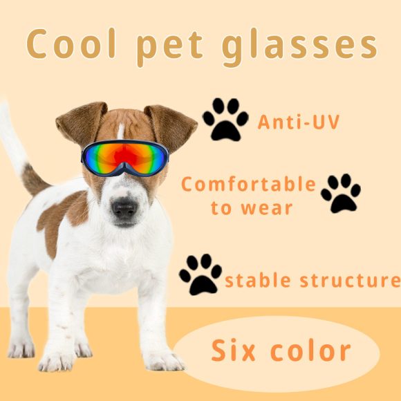 Cat Windproof Glasses Outdoor Pet Cool Sunglasses - Image 10