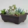Garden supplies antique plant plastic flowerpot