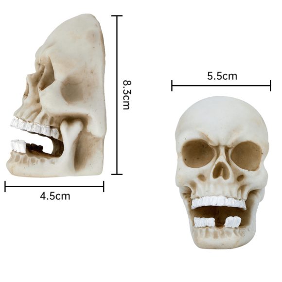 Halloween skull decoration - Image 5