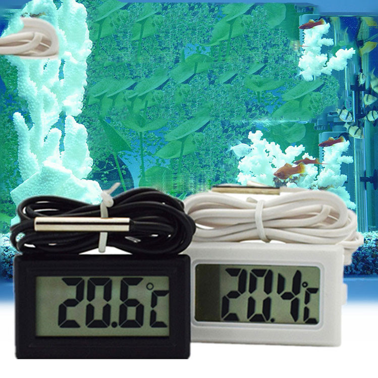 Measurement & Analysis