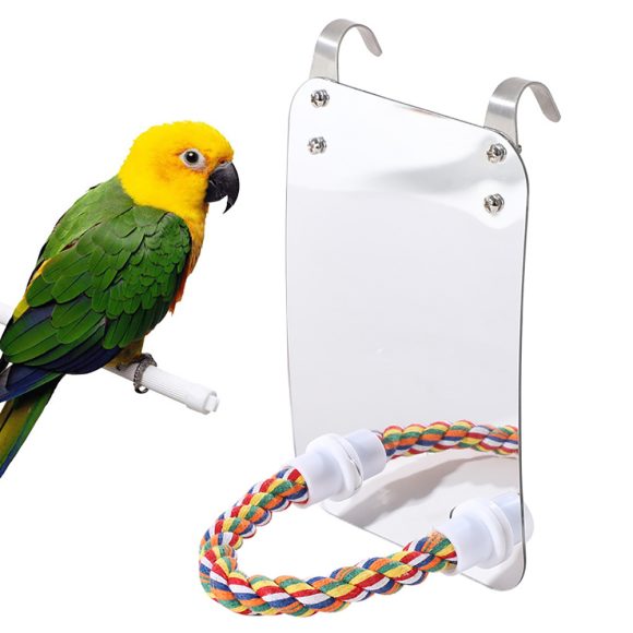 Parrot Toy Acrylic Bird With Mirror - Image 5