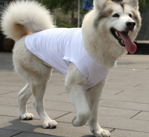 XS-5XL Dog Vest Dog Shirt Summer Small Medium Dog Clothes Chihuahua Tshirt - Image 6