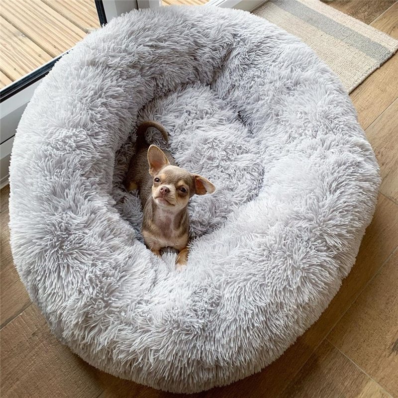 Pet Toy Set