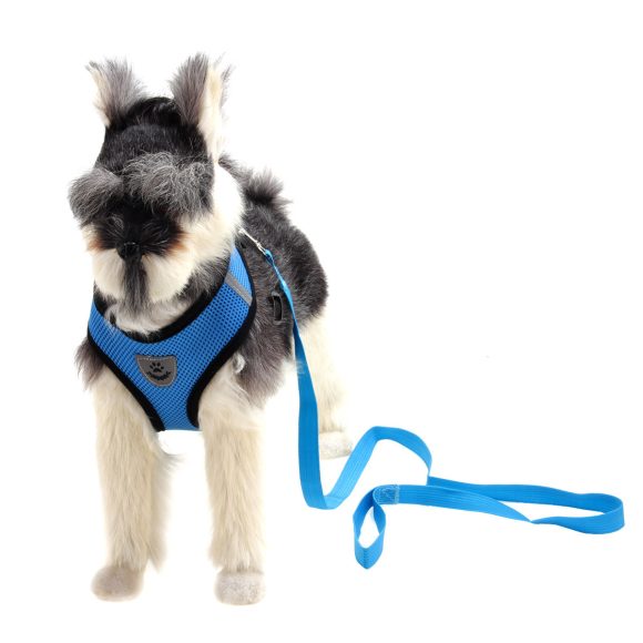 Premium Dog Harness - Image 6
