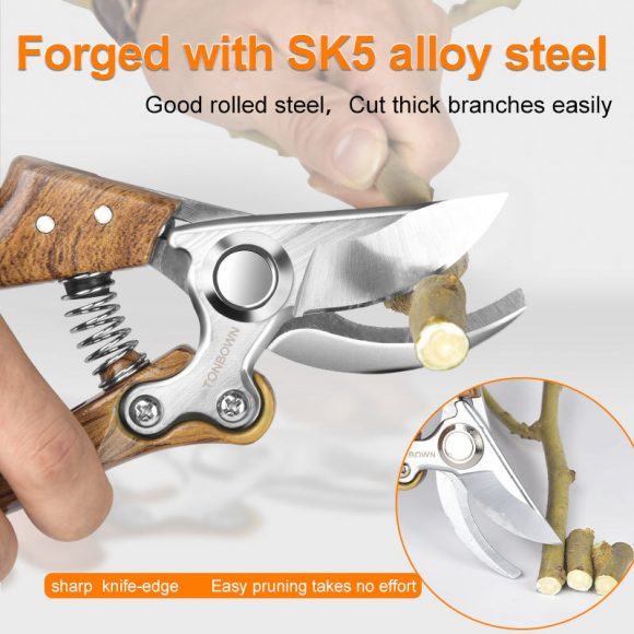 Pruning fruit trees pruning branches garden scissors - Image 2