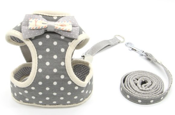 Cat Traction Rope, Cat Walking, Cat Chain, Rope - Image 7