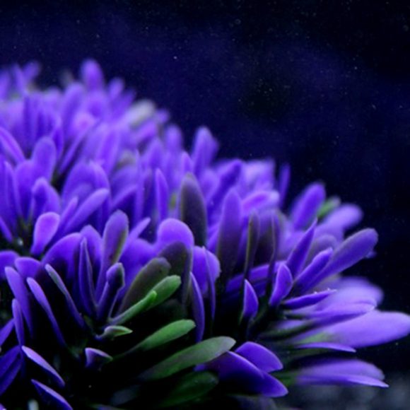 Fish tank landscaping aquarium accessories - Image 5