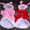Pet Cat Clothes Mascotas Costume Clothes For Pet Hoodies Cute Rabbit Cat Clothing Puppy Fleece Warm Pet Cat Jacket - Image 5