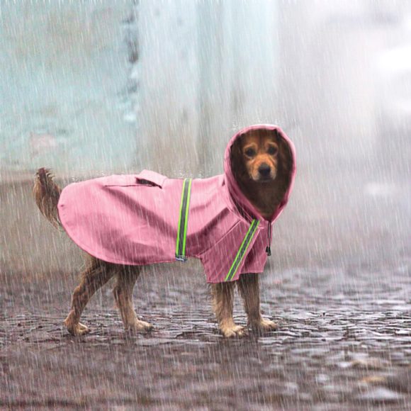 Waterproof Reflective Dog Raincoat - Image 6