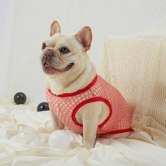 Hollow Mesh Dog Vest Clothing - Image 4