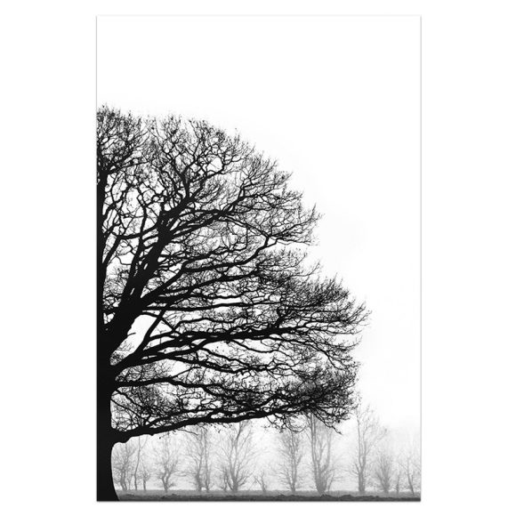 Black And White Winter Trees Modern Sofa Background Wall Decorative Painting - Image 4