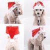 Small, medium and large dogs christmas pet products - Image 4