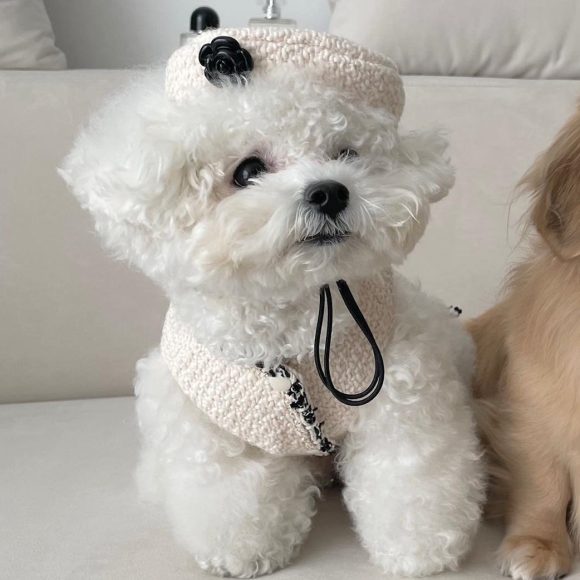 Pet Dog Cat Accessories Knitted Hat - Image 3