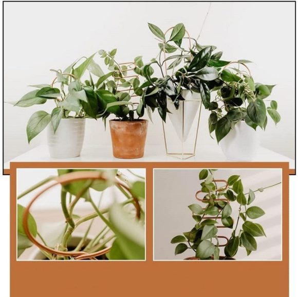 Garden Plant Climbing Support Rack Pot Holder Metal Iron Fixed Pole - Image 4