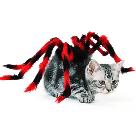 Pet Cat Dog Halloween Creative Spider Costume - Image 5