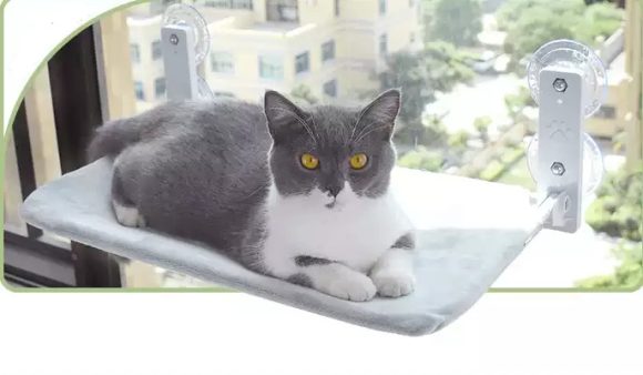 Cat Suction Cup Window Glass Hammock Pet Cat Pets Products - Image 5