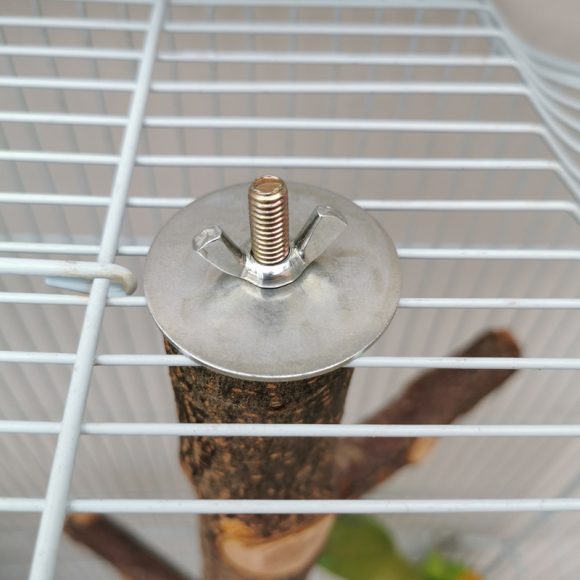 Parrot Bird Wood Stand Pole Toy - Image 4