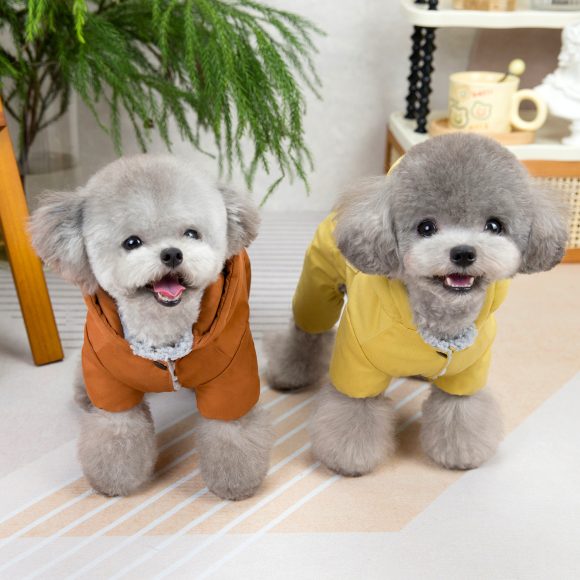 Dog Fashion Autumn And Winter New Clothing - Image 3