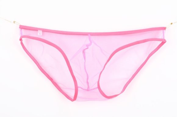New See-through Fine Mesh Low Waisted Shorts - Image 2