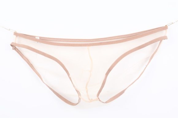 New See-through Fine Mesh Low Waisted Shorts - Image 4
