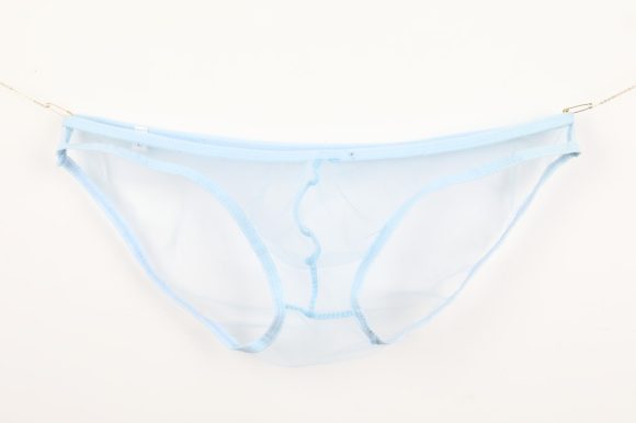 New See-through Fine Mesh Low Waisted Shorts - Image 7