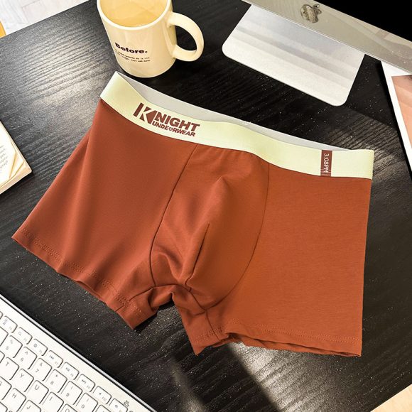 Simple Letter Men's Underwear Cotton Antibacterial Breathable Boxers - Image 10