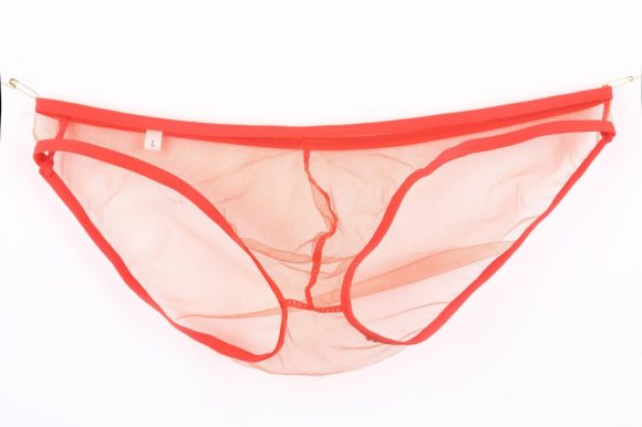 New See-through Fine Mesh Low Waisted Shorts - Image 10