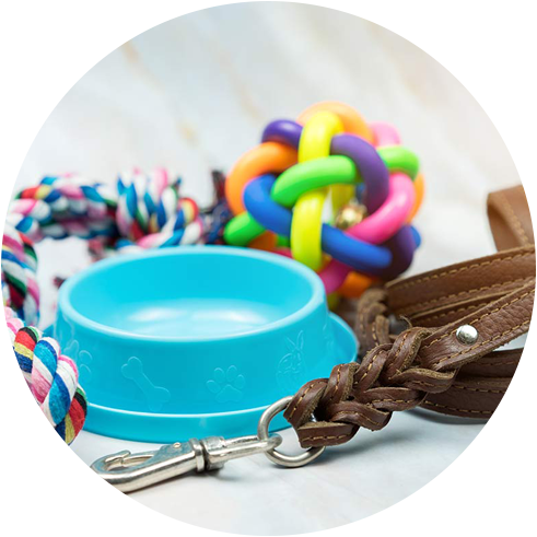 Pet Supplies