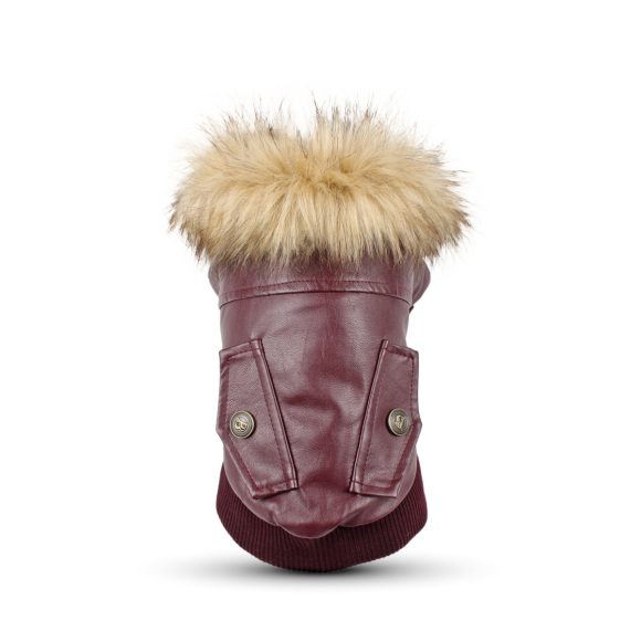 Autumn And Winter Clothes Dog Fur Collar Leather Coat - Image 3