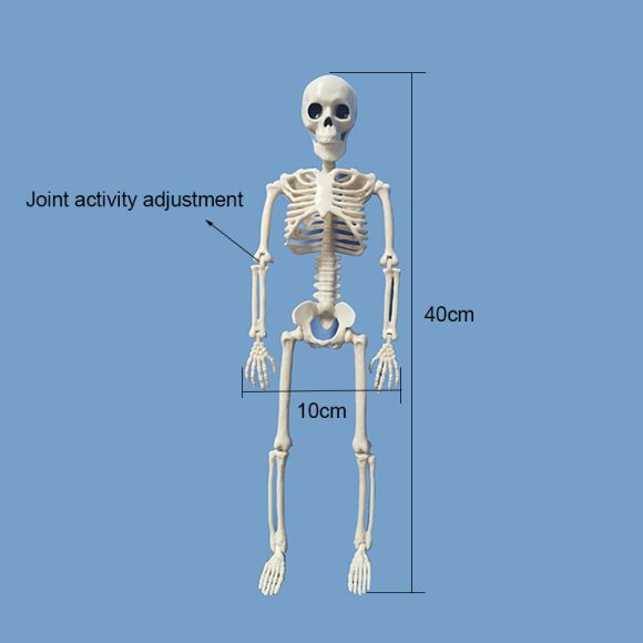 Halloween skull decoration - Image 4