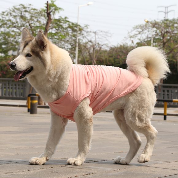 XS-5XL Dog Vest Dog Shirt Summer Small Medium Dog Clothes Chihuahua Tshirt - Image 2