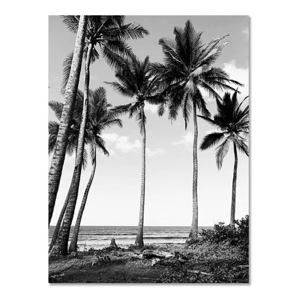 Nordic Modern Black And White Seaside Landscape Holiday Surfing Background Wall Poster Frameless Painting - Image 8