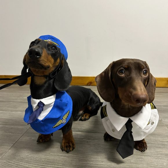 Dachshund Dog Funny Clothes Halloween Suit - Image 7