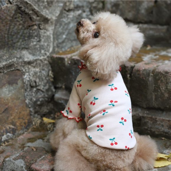 Cotton Cherry Print Wavy Edge Lapel Top Dog Clothes - Image 4