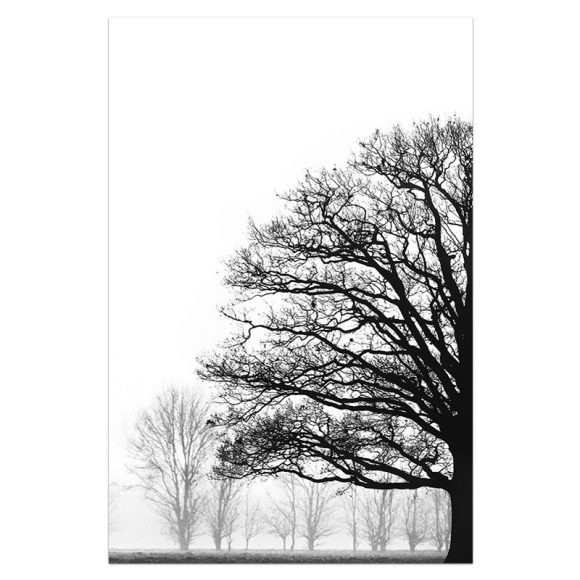 Black And White Winter Trees Modern Sofa Background Wall Decorative Painting - Image 3