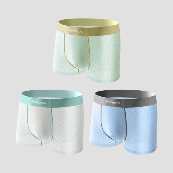 Ice Silk Anti-stuffy Anti-friction Physical Test Running Jacquard Underwear - Image 3