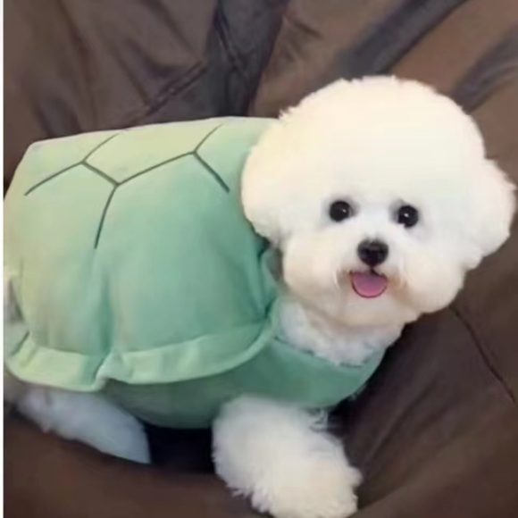 Turtle Shell Pet Vest Funny Clothes - Image 4