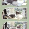 Cat Suction Cup Window Glass Hammock Pet Cat Pets Products - Image 6