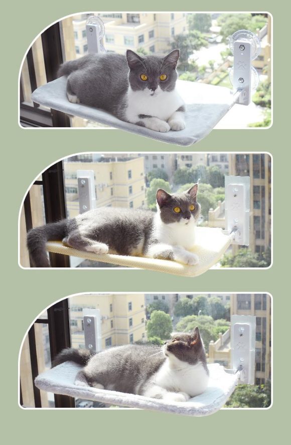 Cat Suction Cup Window Glass Hammock Pet Cat Pets Products - Image 6