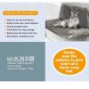 Iron Frame Cat Bed Cat Hammock Radiator Bed - Image 7