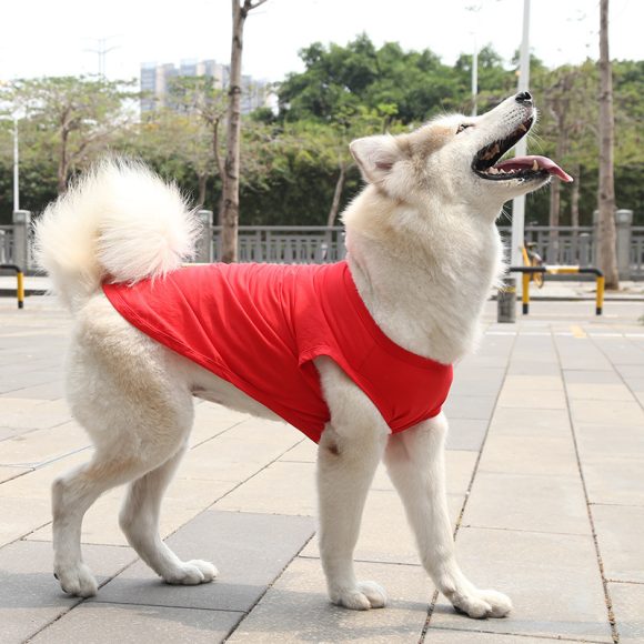 XS-5XL Dog Vest Dog Shirt Summer Small Medium Dog Clothes Chihuahua Tshirt - Image 4
