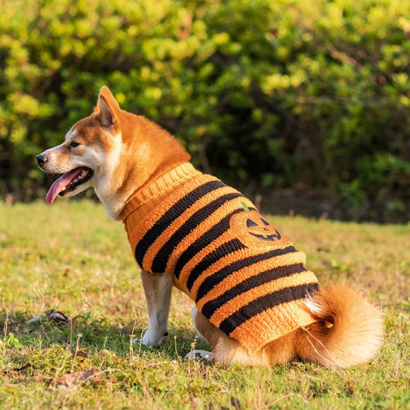 Halloween Dog Sweaters Pet Costume Teddy Warm Leisure Sweater Cosplay Clothes For Dogs Pets Outfits - Image 9